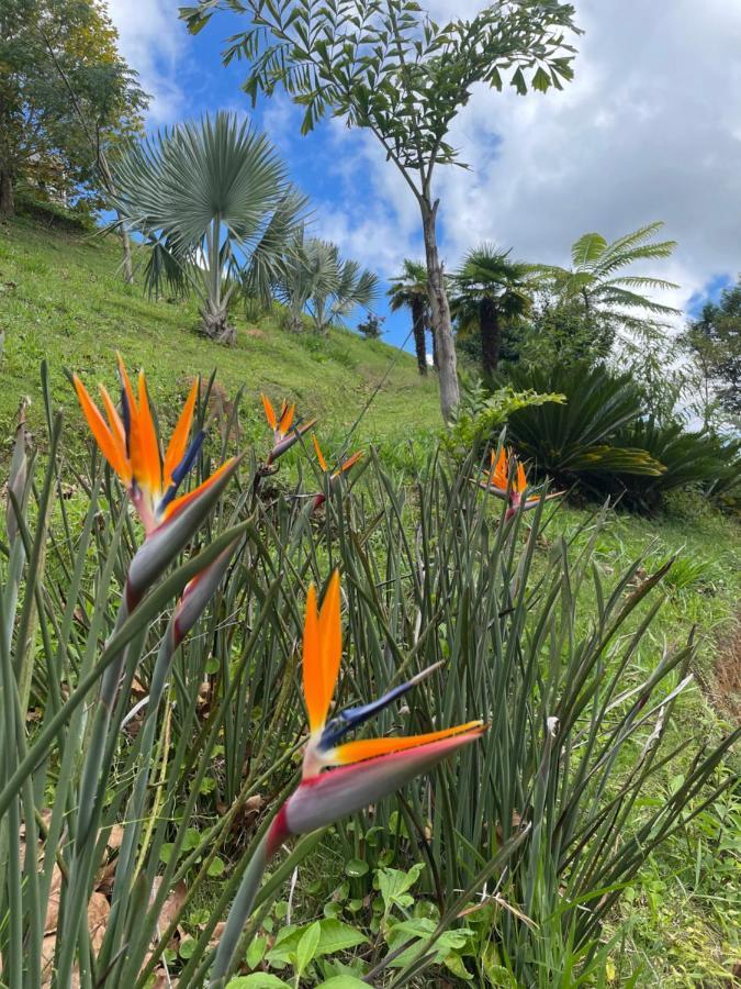 Rancho Do Paioleiro